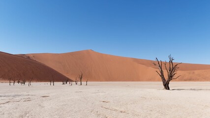 Scenic view of Deadvlei in the Namib-Naukluft National Park in Namibia