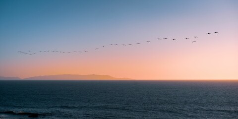 Flock of birds soaring gracefully in the sky above a sparkling body of water, Long Beach