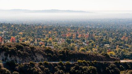 Angeles National Forest in Los Angeles, California, with lush green trees and winding roads