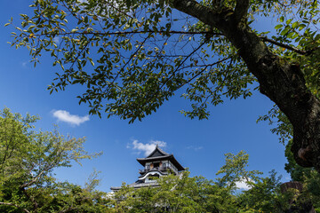 夏の犬山城天守閣_犬山城内庭園