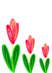 hand drawn flower illustration png