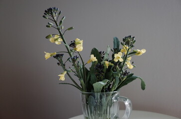 broccoli and its flower