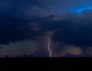 Solitary lightening bolt at night