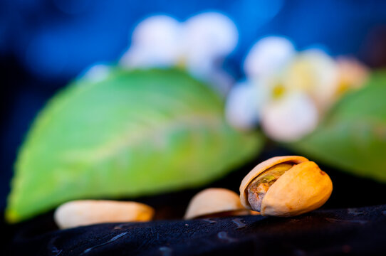 Pistachio Nut with floral background product food photography
