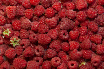 Ripe raspberry full-frame background. Fresh organic berries. Top view.