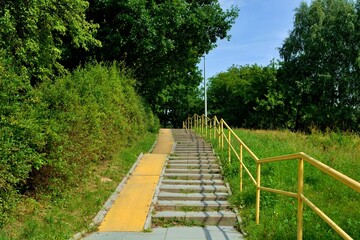 Steep stairs leading up a hill with a metal handrail in the middle of lush green trees in summer