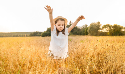 Naklejka na ściany i meble Happy girl walks in beautiful wheat field, embracing summer's yellow sun, nature freedom outdoors. White dress, straw hat, surrounded by rye, barley. Autumn harvest time rural scene.Own piece of land