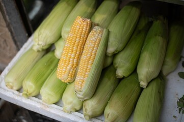 an assortment of fresh yellow corn that is on display in a market