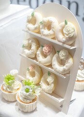 Appetizing assortment of wedding doughnuts and cupcakes on a serving tray