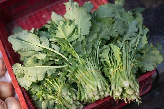 Basket full of fresh broccoli rabe sitting on a sidewalk in an outdoor setting