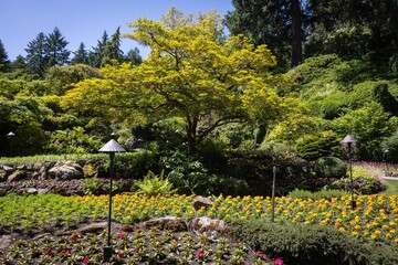 Decorative and Colorful Gardens in Butchart Gardens