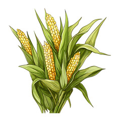 Corn watercolor vector illustration, Vegetable isolated on transparent background, AI Generative