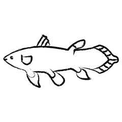 Hand drawn Fish icon