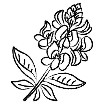 Hand drawn flower icon