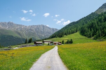 Fototapeta na wymiar Landscape of a hiking trail surrounded by greenery in the Alps in Tyrol, Austria
