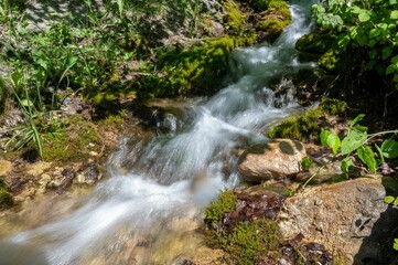 Closeup shot of a flowing splashing stream on rocks in a forest