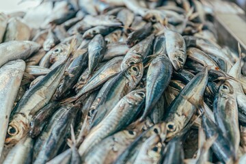 Closeup of small fishes on the table for sale