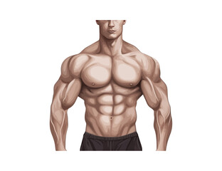 Muscular man torso fitness. Vector illustration design.