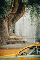 vertical shot of a classic yellow taxi cab  parked beside a park bench and a lush green