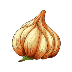 Garlic watercolor vector illustration, Vegetable isolated on transparent background, AI Generative