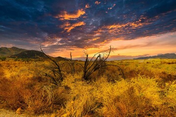 a field with a sunset in the background and mountains in the distance - Powered by Adobe