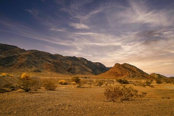 a desert plain with mountains and trees in the background at sunset