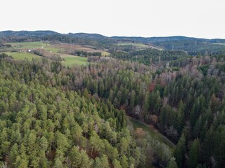 Aerial view of the forest in Bavaria with dense needle trees and clearings as a green meadow