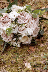 Obraz premium Golden wedding rings on forest ground moss background. High quality photo