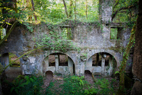 Ruinas de una antigua f&aacute;brica de papel construida en medio del monte, al lado de un r&iacute;o, con grandes muros de piedra. Tras abandonarse a principios del siglo XX, la naturaleza ha llenado todo de &aacute;rbol