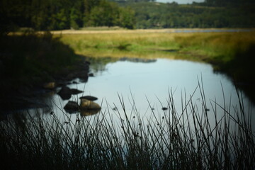 La Cure se jettant tranquillement dans le lac des Settons dans le Morvan (France)