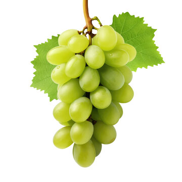 green grapes bunch isolated on white background. Generative AI