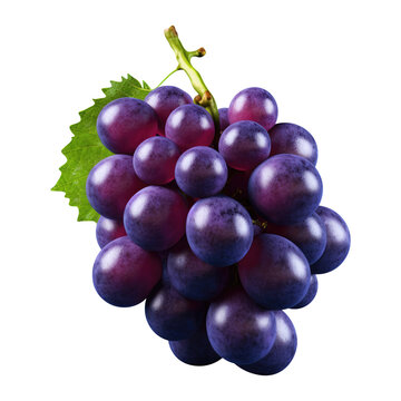 blue grapes bunch isolated on white background. Generative AI