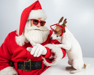 Portrait of santa claus in sunglasses and dog jack russell terrier in rudolf reindeer ears on a...