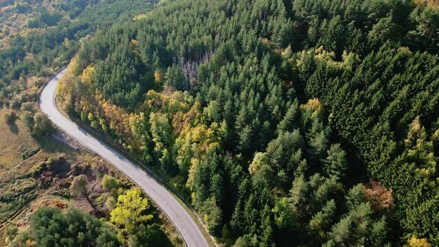 Aerial drone shot of a twisty mountain road on a sunny morning by autumn. Colorful landscape.