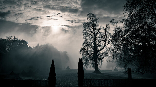 Contrejour dans la brume