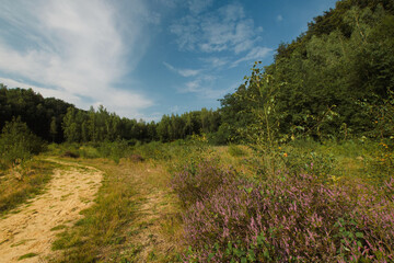 Beautiful view of the Vertbois sandpit, bois de la Houssière