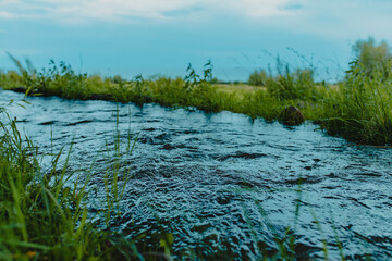 Landscape with stream on field at summer day