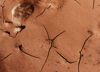 Cracked ground in desert texture or background