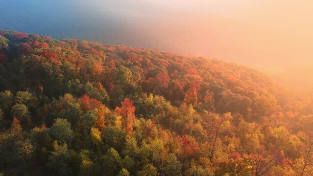 Foggy sunrise drone aerial over autumn Arkansas ozark mountains with colorful fall forest trees