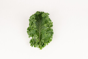 Isolated green kale leaf close up