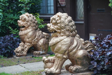 Fototapeta premium statue of lion