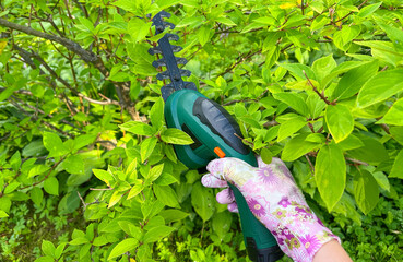 The hand of a female gardener in protective gloves is pruning tree branches with a pruner....