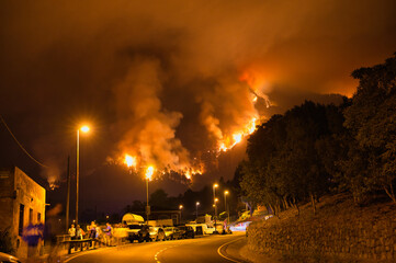 Nocturnal Inferno: Watching as Trees Engulf in Flames.