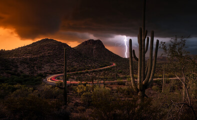 Saguaro Cactus and lightning storm