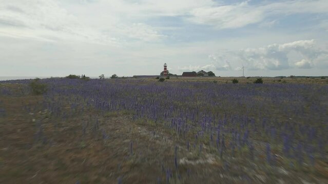 Narsholmen in Gotland, Sweden by Drone 8