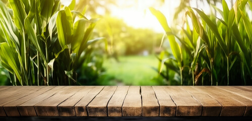 Empty rustic old wooden boards table copy space with sugarcane plants in background. Product display template. Generative AI - obrazy, fototapety, plakaty