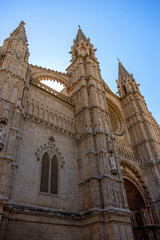 Majestic Mallorca: Cathedral's Gothic Splendor