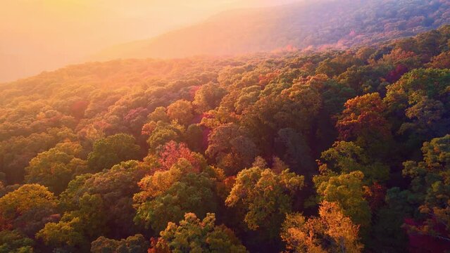 Drone footage over foggy autumn Arkansas ozark mountains with colorful fall forest trees