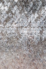 close up of metallic silver skin, scales on Pacific salmon