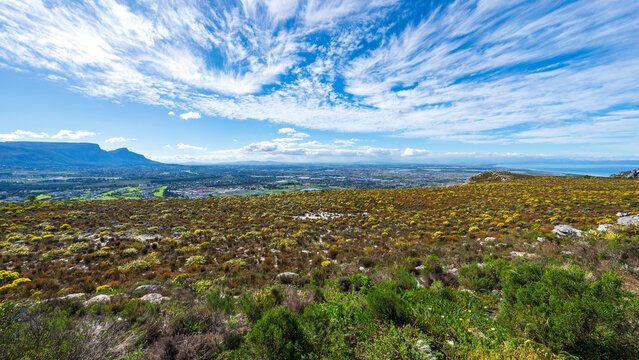 Silvermine Nature Reserve, Cape Town, South Africa